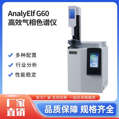 AnalyElfG60高效气相色谱仪 气相色谱分析仪