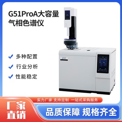荆和国产EPC色谱分析仪 G51ProA 大容量气相色谱仪