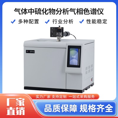 微量硫化物气相色谱仪 硫分析仪 天然气中硫化物色谱分析仪