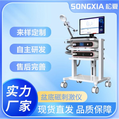 盆底磁刺激仪 产后康复盆底肌治疗仪 医院月子中心美容院仪器