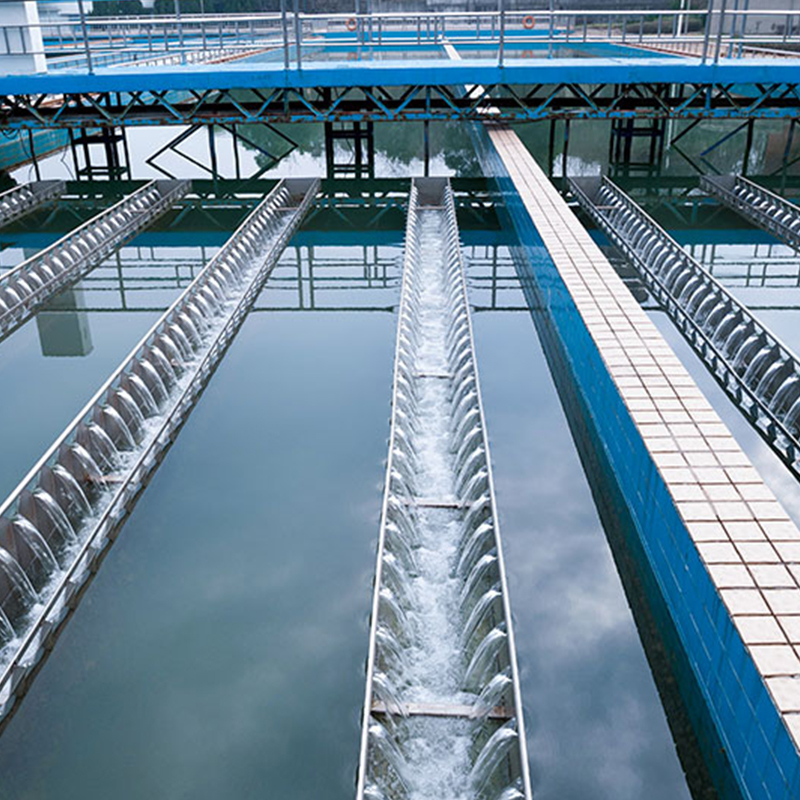 Summer beach concept