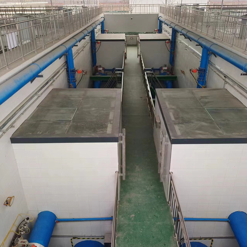 Summer beach concept