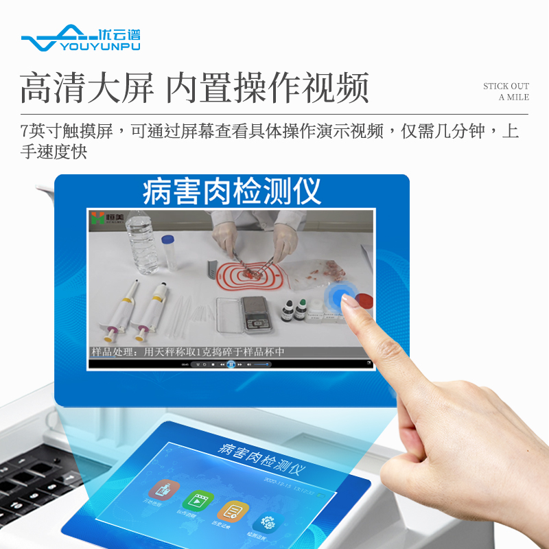 Summer beach concept