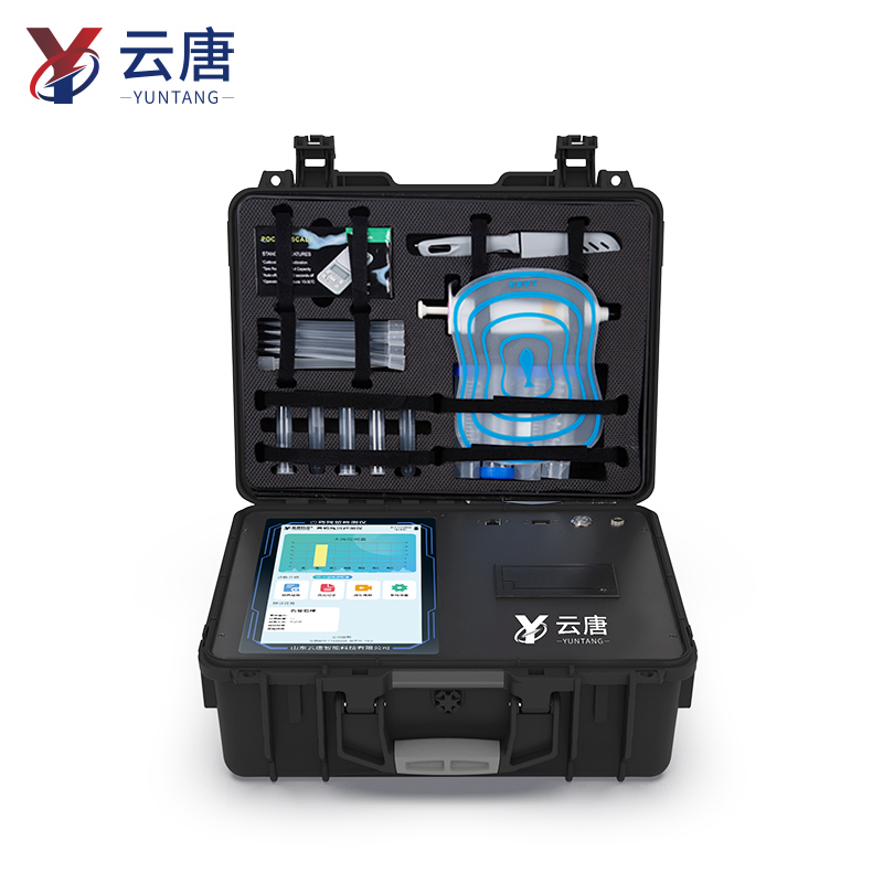 Summer beach concept