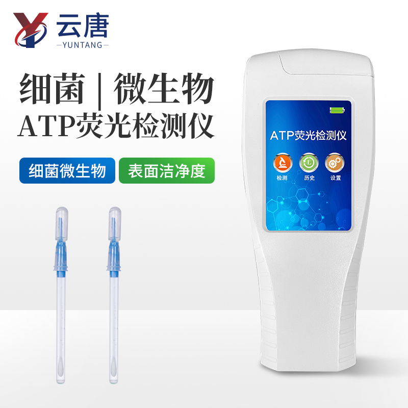 Summer beach concept