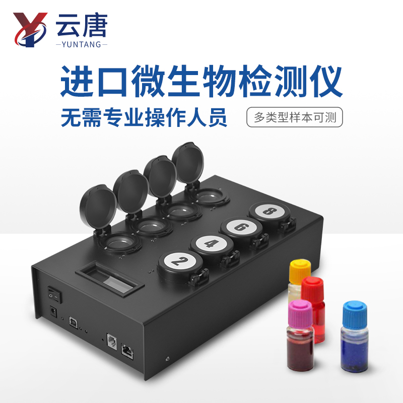 Summer beach concept