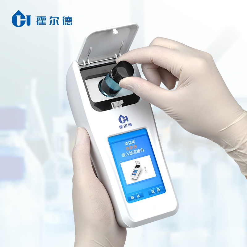 Summer beach concept