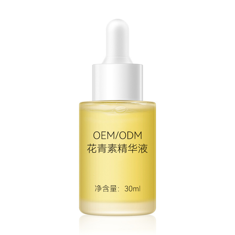 Summer beach concept