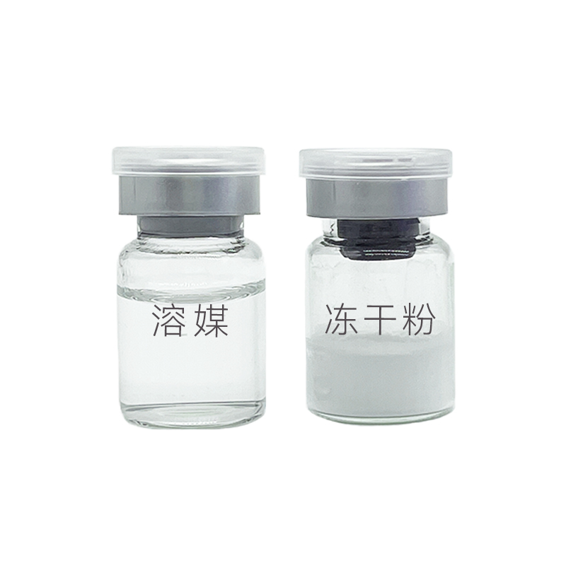 Summer beach concept