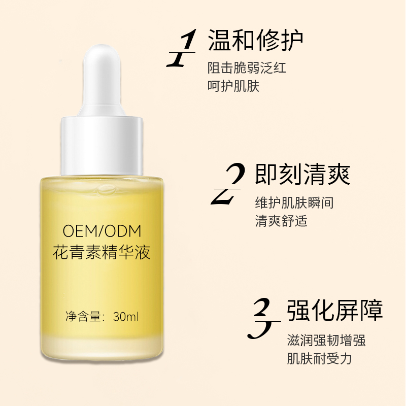 Summer beach concept