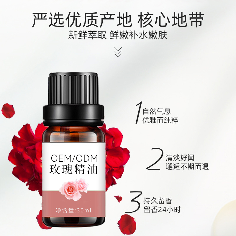 Summer beach concept