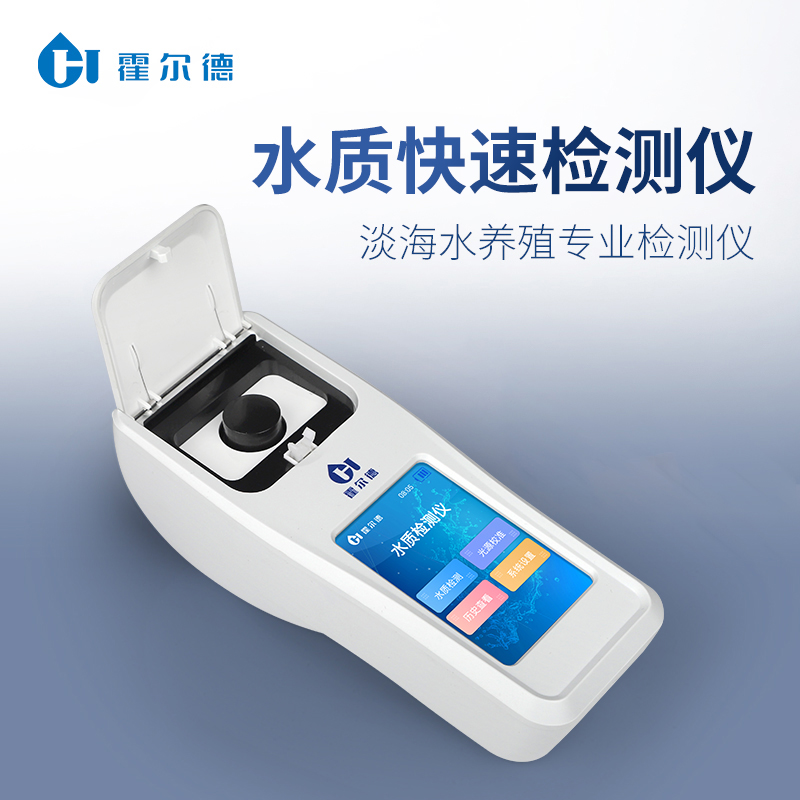 Summer beach concept