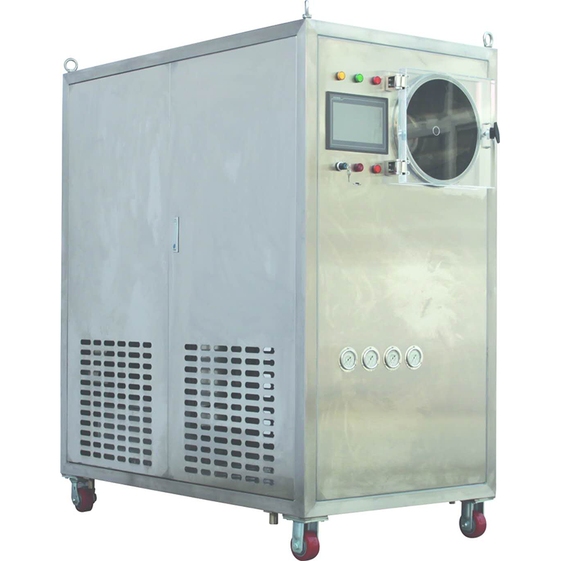 Summer beach concept