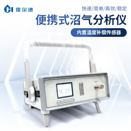 便携式沼气分析仪