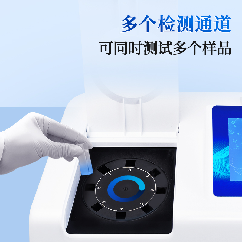 Summer beach concept