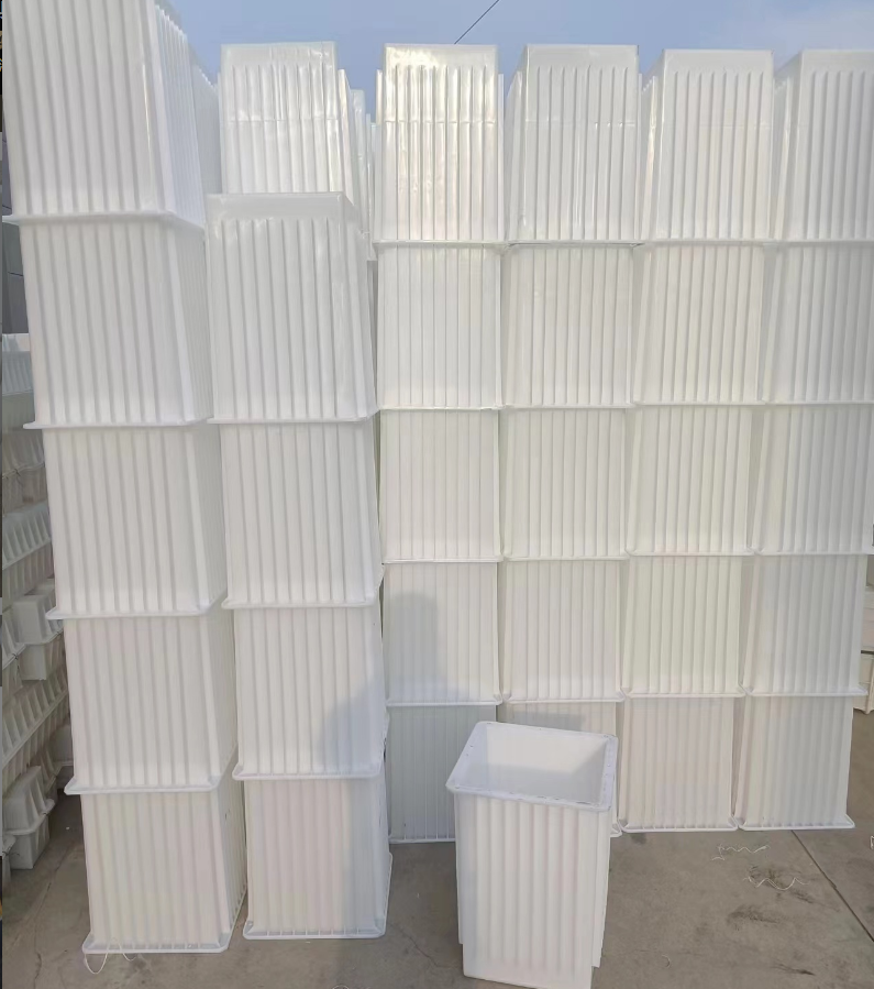 Summer beach concept