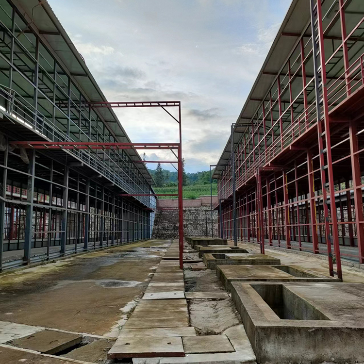 Summer beach concept