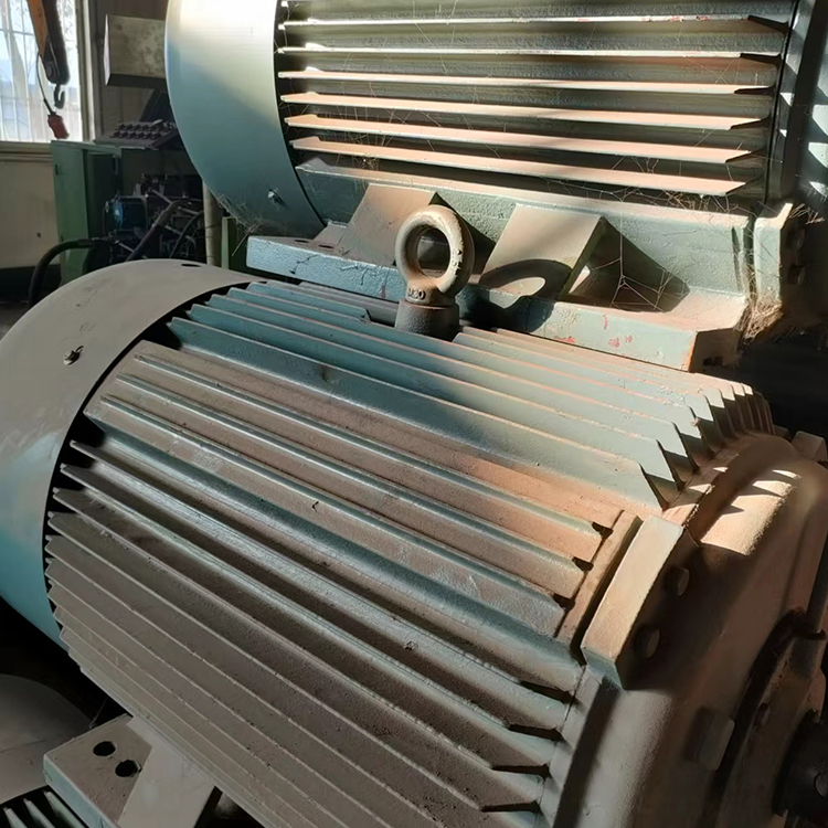 Summer beach concept