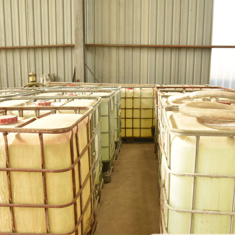 Summer beach concept