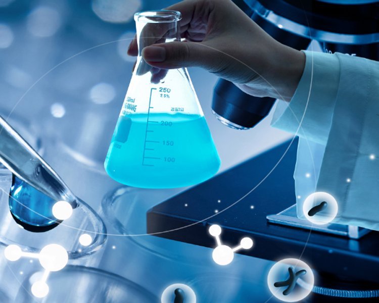 Summer beach concept