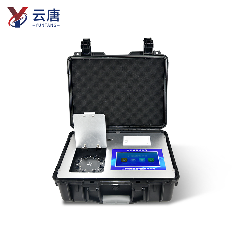 Summer beach concept