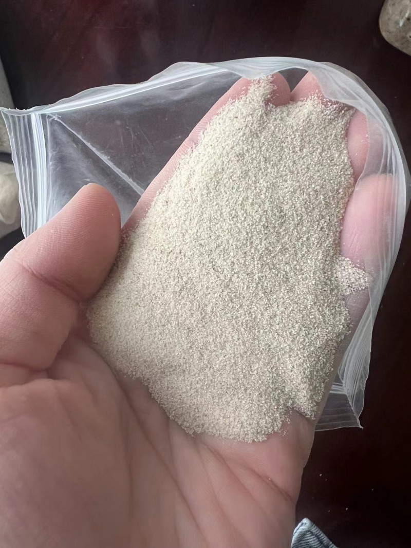 Summer beach concept