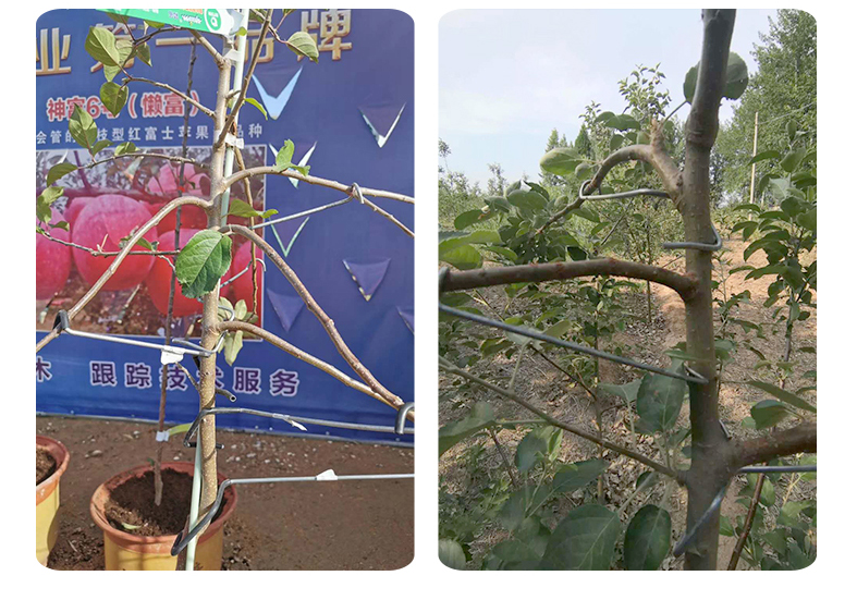 QQ图片20240318120210