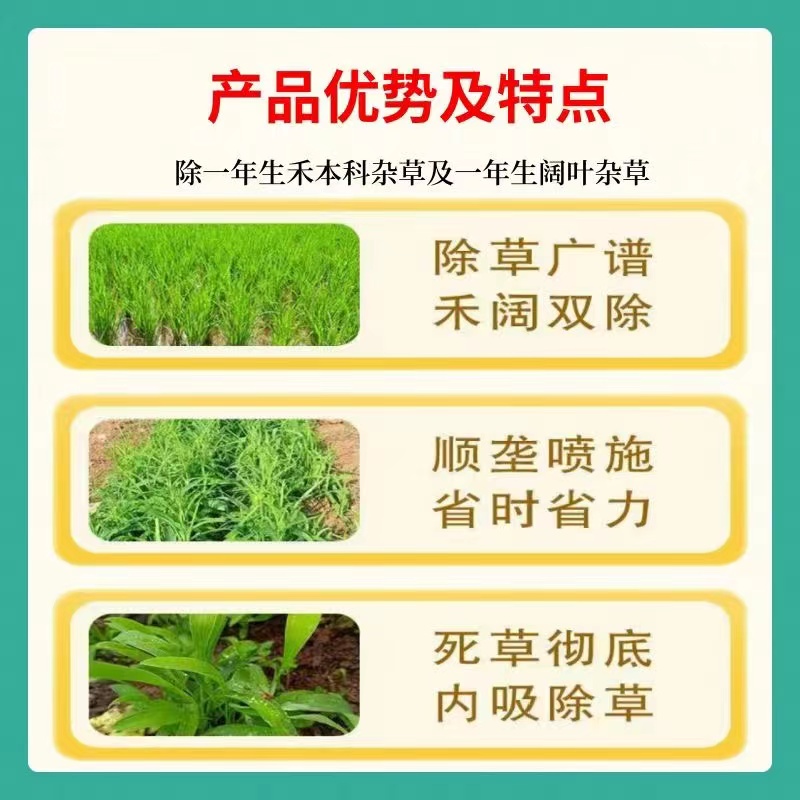 微信图片_20240326093909