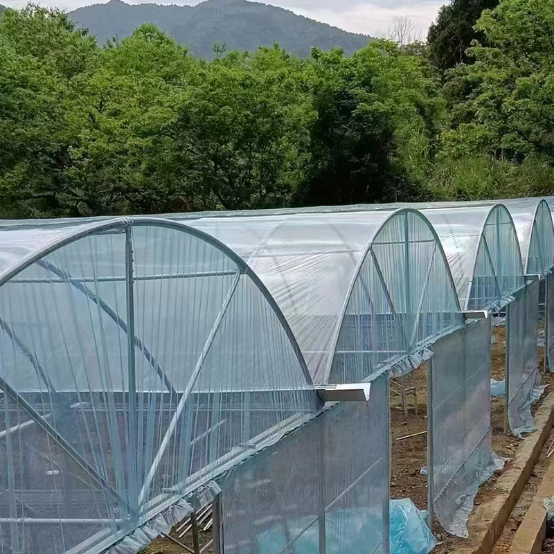 Summer beach concept