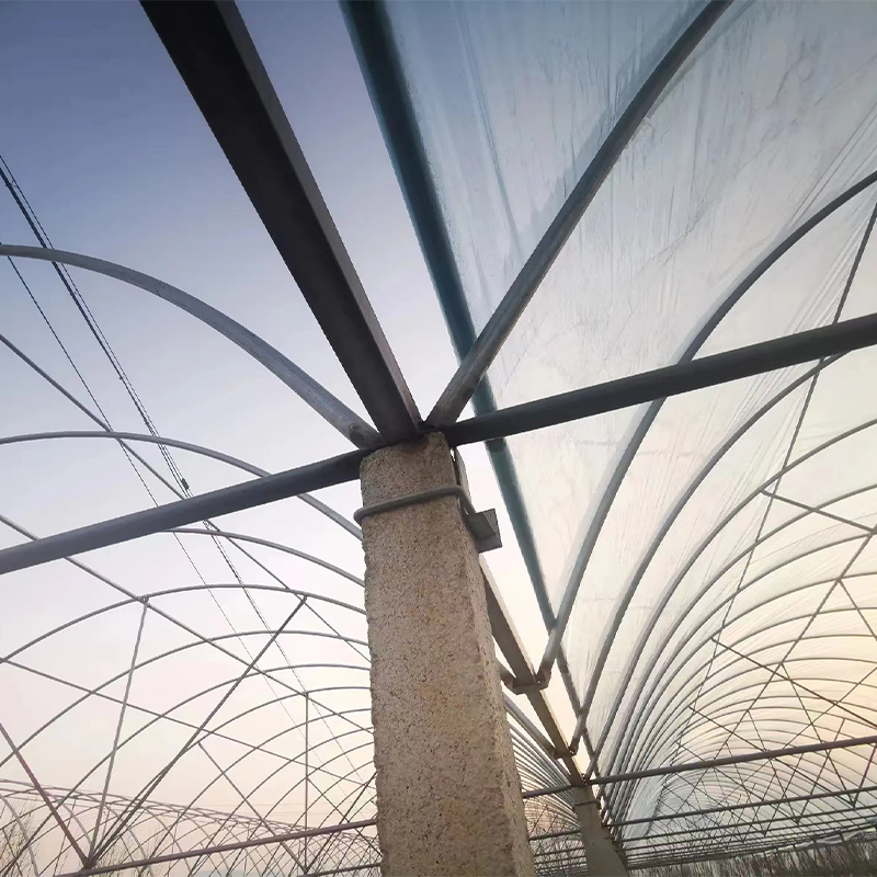 Summer beach concept