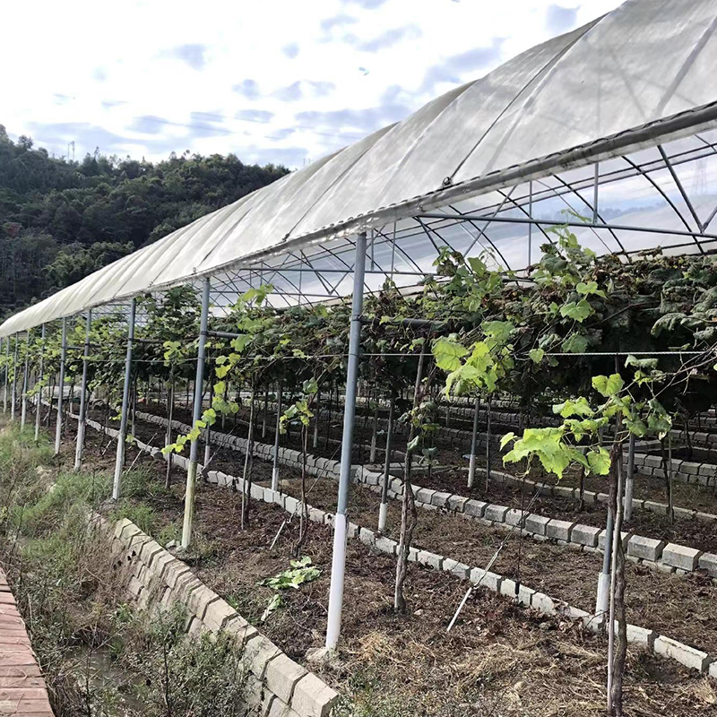 Summer beach concept