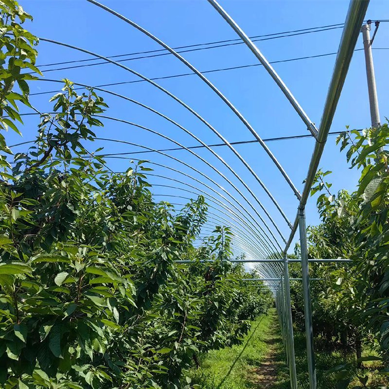 Summer beach concept