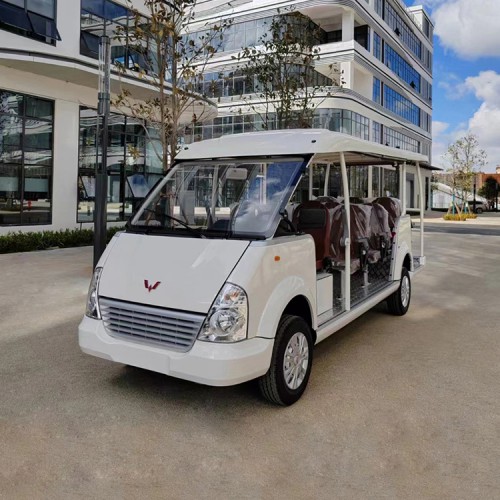 湖南景区14座燃油观光车  景区代步车  游览观光车图片