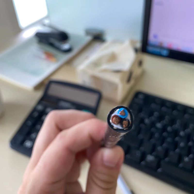 Summer beach concept