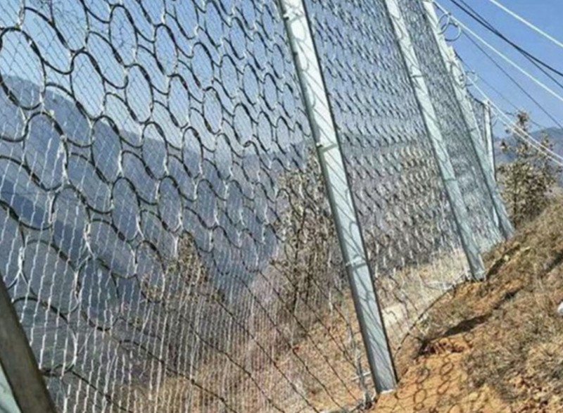 Summer beach concept