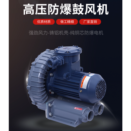 防爆高压鼓风机