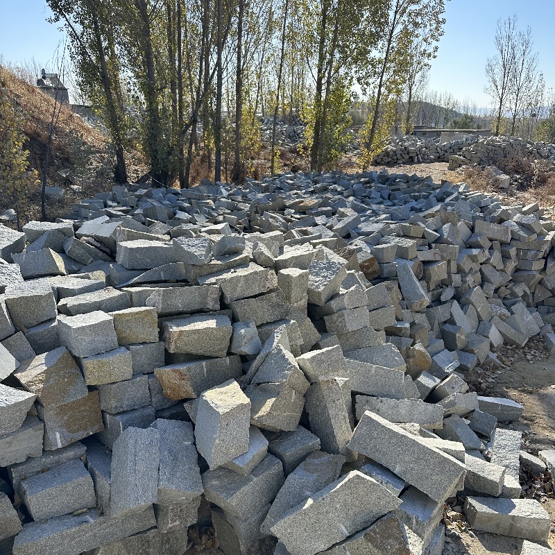 微信图片_20240105093820_副本