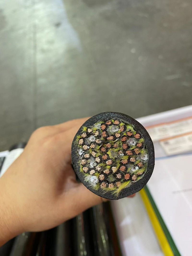 Summer beach concept