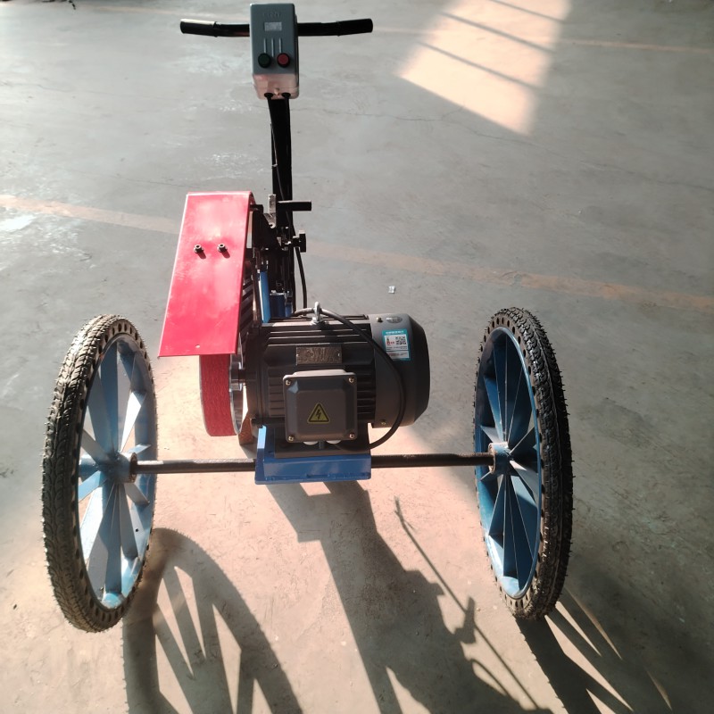 Summer beach concept