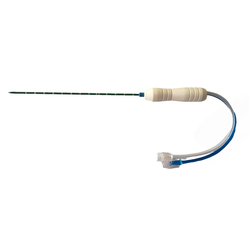 Summer beach concept