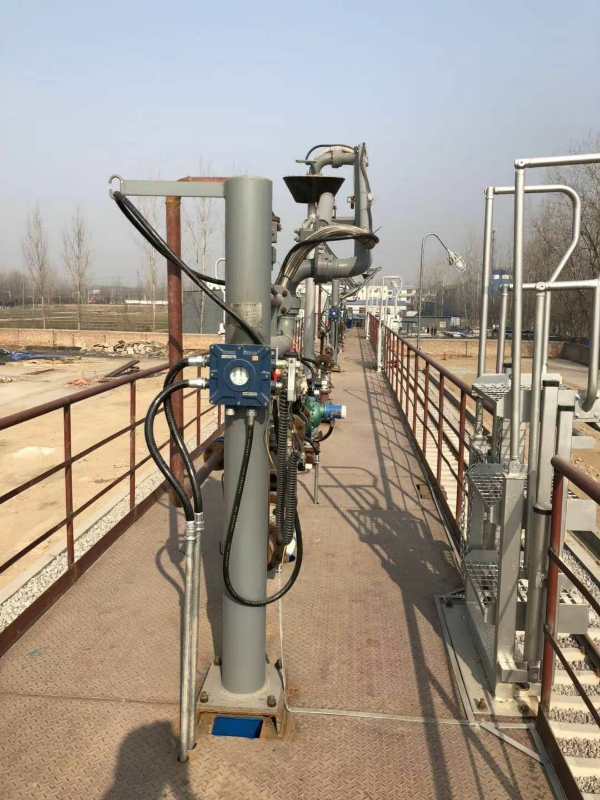 Summer beach concept