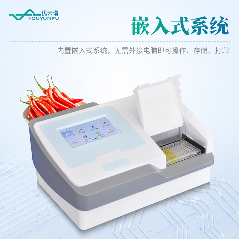 Summer beach concept