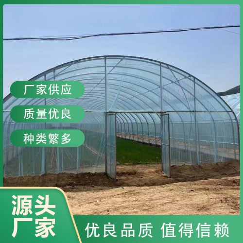 薄膜温室大棚