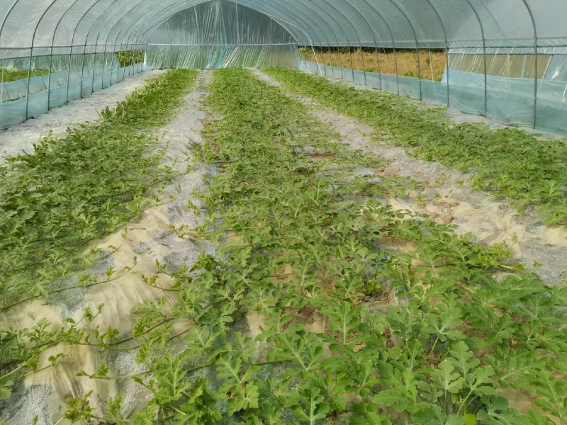 Summer beach concept