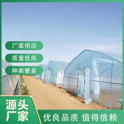 塑料大棚厂家  塑胶大棚