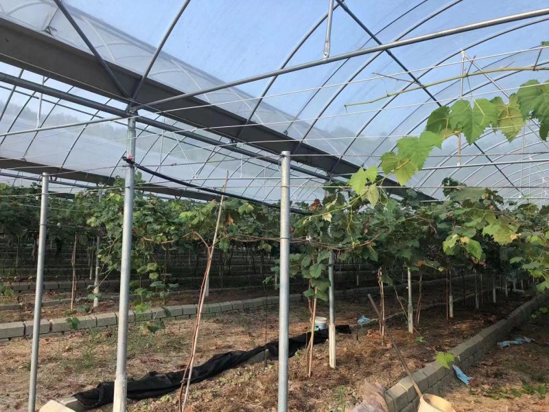 Summer beach concept