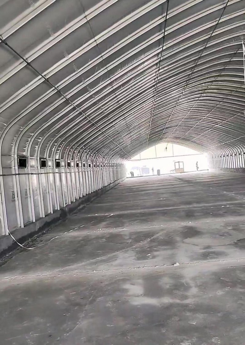 Summer beach concept