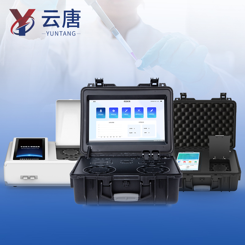 Summer beach concept