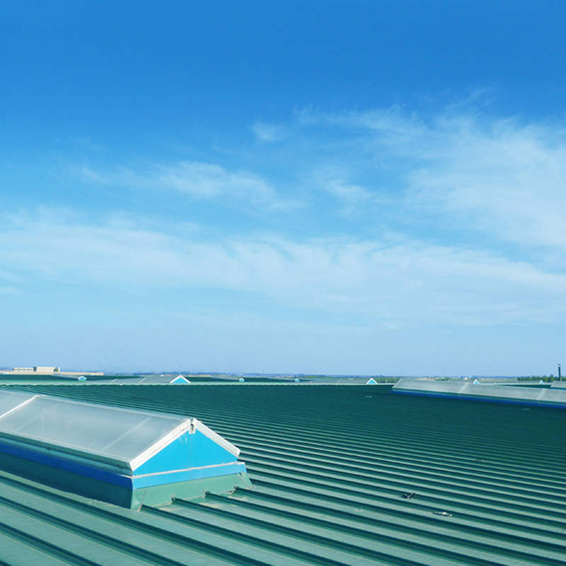 Summer beach concept