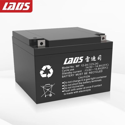 雷迪司蓄电池UPS专用铅酸蓄电池 12V/24AH